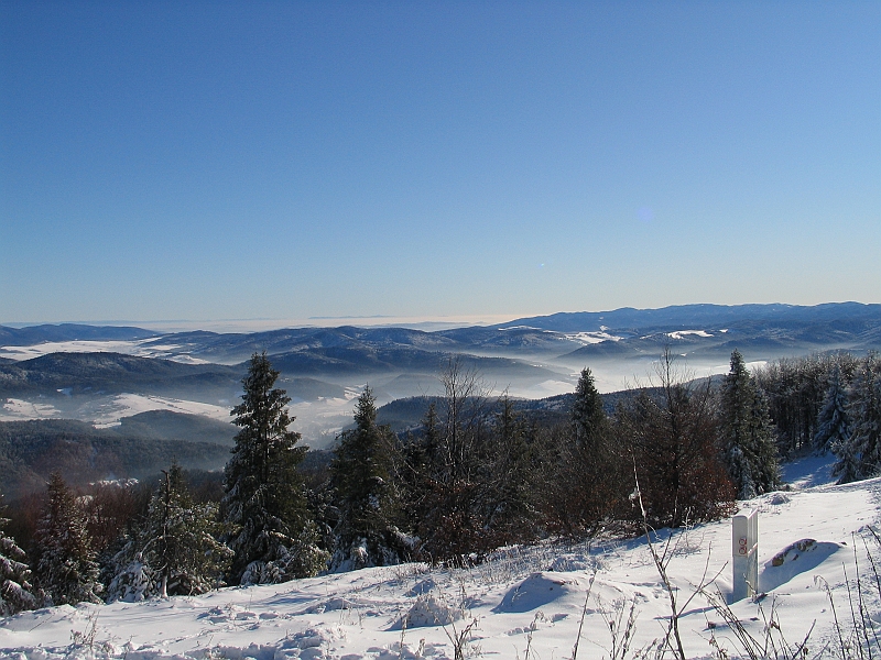Krynica 2008 002